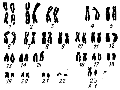 Что вы знаете о своей наследственности? - i_012.png