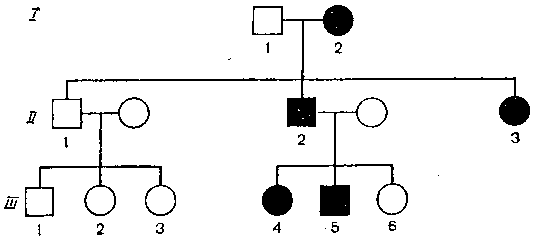 Что вы знаете о своей наследственности? - i_018.png