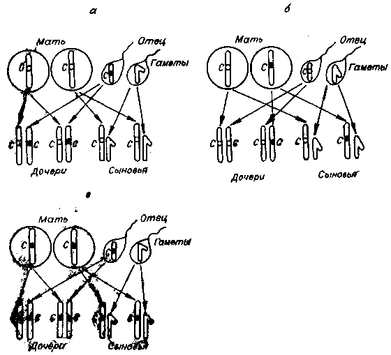 Что вы знаете о своей наследственности? - i_026.png