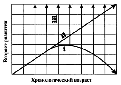 Маленькая книга жизни и смерти - diag.png