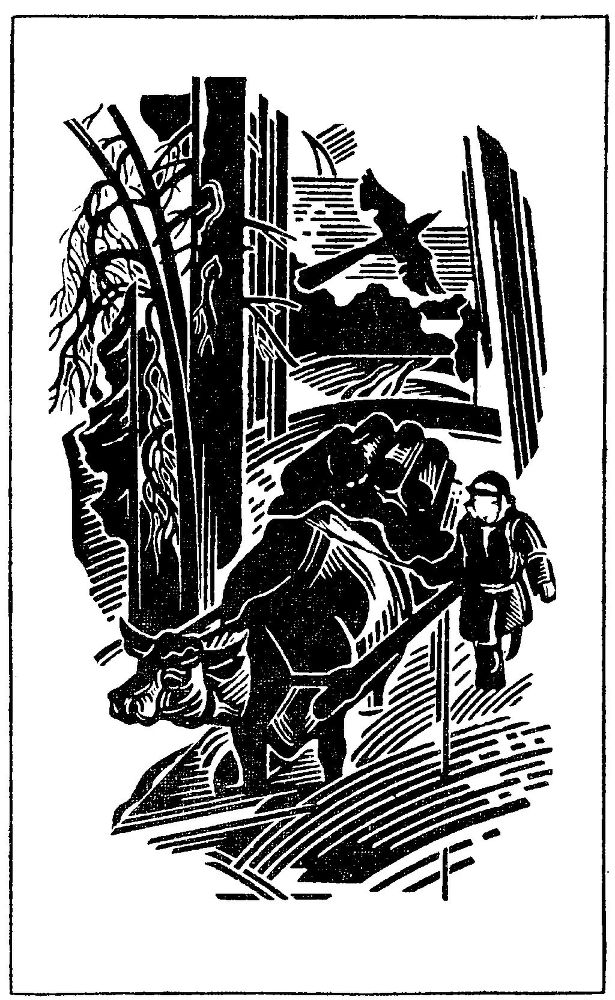 Вечера - _5.jpg