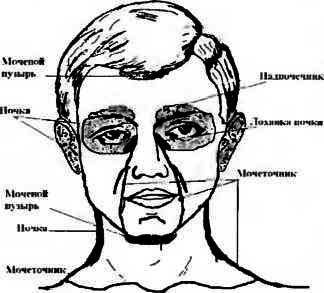 Ранняя диагностика функциональных почечных нарушений - i_002.jpg