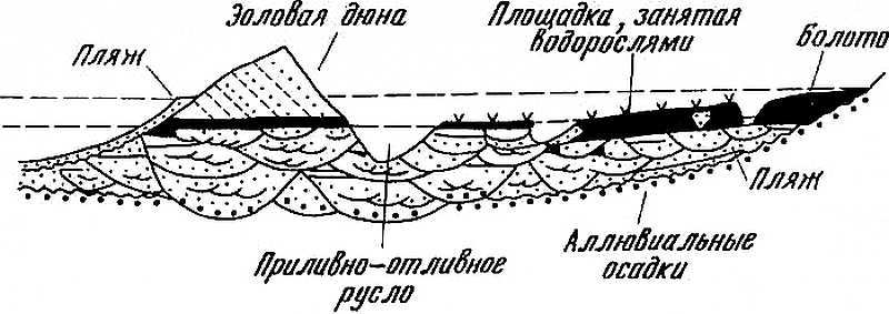 Читая каменную летопись Земли... - i_019.jpg