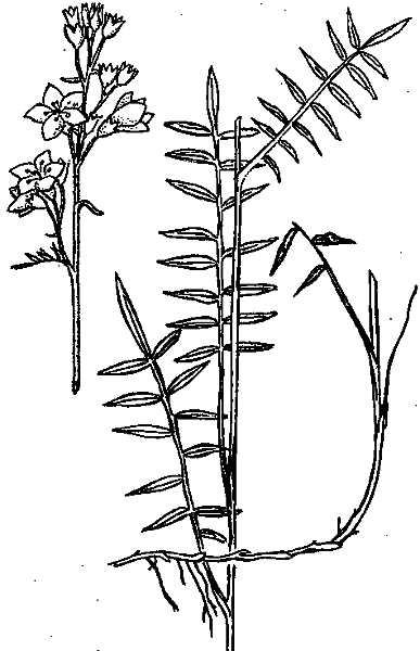 Аптека на болоте - i_024.png