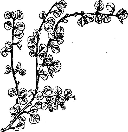 Аптека на болоте - i_032.png