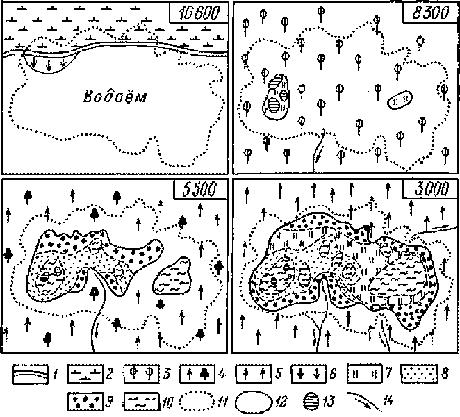 Аптека на болоте - i_085.png