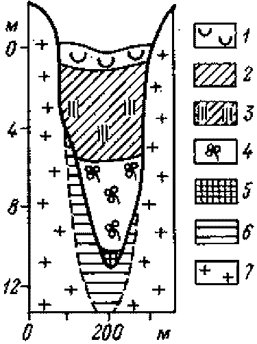 Аптека на болоте - i_087.png