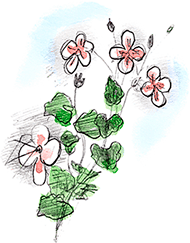 Сказки, басни, были и рассказы - i_036.png