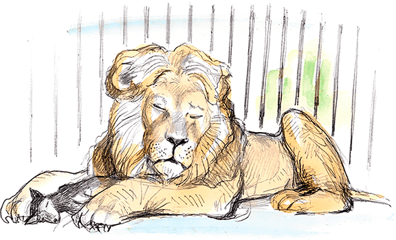 Сказки, басни, были и рассказы - i_041.png