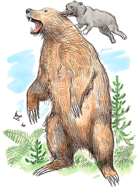 Сказки, басни, были и рассказы - i_067.png