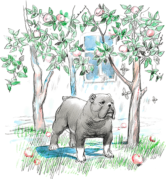 Сказки, басни, были и рассказы - i_068.png