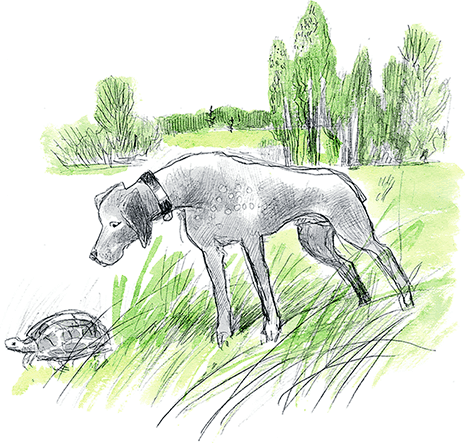 Сказки, басни, были и рассказы - i_069.png