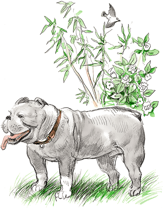 Сказки, басни, были и рассказы - i_071.png