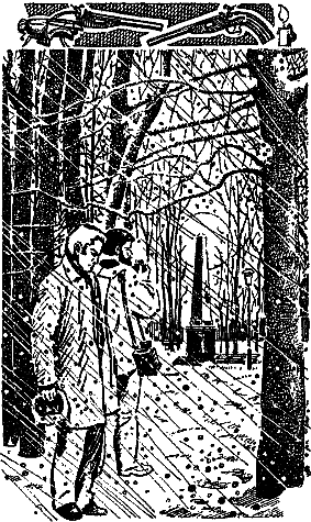 Святые Горы (сборник) - i_021.png