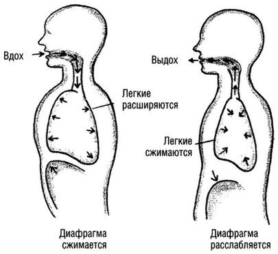 Квантовое Прикосновение: Исцеляющая энергия - i_012.jpg