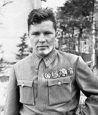 Жизнь замечательных людей и зверей. Короткие истории о всяком разном - i_135.jpg