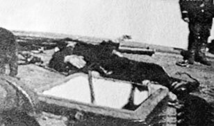 Жизнь замечательных людей и зверей. Короткие истории о всяком разном - i_222.jpg