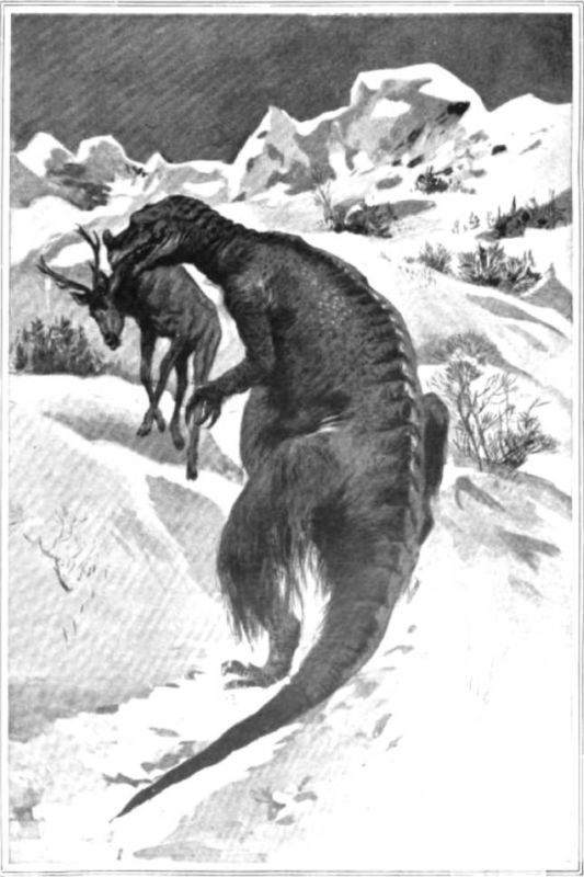Великий зверь Кафуэ<br />(Забытая палеонтологическая фантастика. Том XI) - i_007.jpg