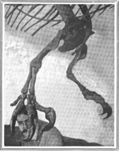 Великий зверь Кафуэ<br />(Забытая палеонтологическая фантастика. Том XI) - i_011.jpg