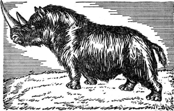 Интервью о морском змее<br />(Забытая палеонтологическая фантастика. Том XII) - i_027.jpg