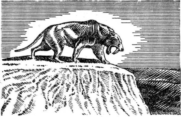 Интервью о морском змее<br />(Забытая палеонтологическая фантастика. Том XII) - i_028.jpg