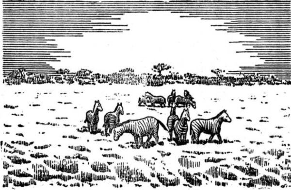 Интервью о морском змее<br />(Забытая палеонтологическая фантастика. Том XII) - i_029.jpg