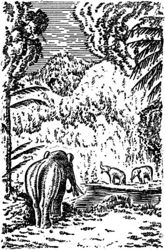 Интервью о морском змее<br />(Забытая палеонтологическая фантастика. Том XII) - i_030.jpg