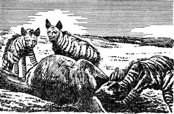 Интервью о морском змее<br />(Забытая палеонтологическая фантастика. Том XII) - i_031.jpg