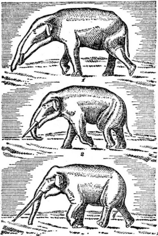 Интервью о морском змее<br />(Забытая палеонтологическая фантастика. Том XII) - i_032.jpg