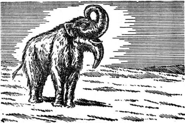 Интервью о морском змее<br />(Забытая палеонтологическая фантастика. Том XII) - i_033.jpg