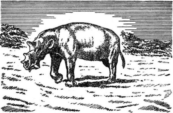 Интервью о морском змее<br />(Забытая палеонтологическая фантастика. Том XII) - i_037.jpg