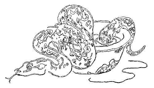 Сиамская овчарка - i_009.png