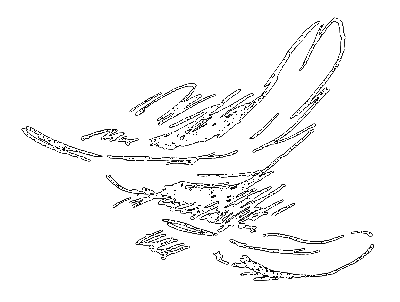 Сиамская овчарка - i_059.png