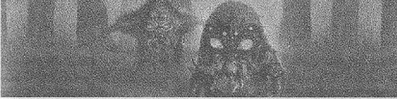 Паутина - pic3.jpg_1