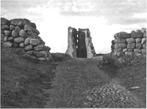 Русская Атлантида. Великое княжество Литовское, Русское и Жемойтское в истории и русской государственности. Факты, мифы и размышления - i_147.jpg