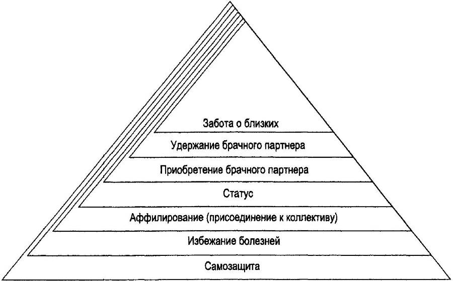 Рациональное животное. Как эволюция повлияла на развитие мозга - _2.jpg