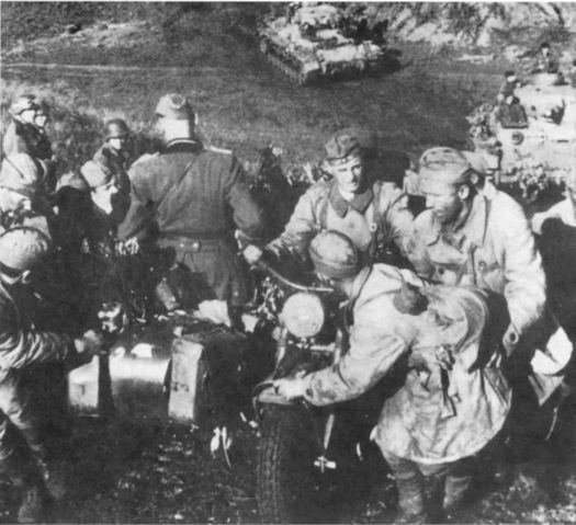 Wehrmacht. Сухопутные войска III Рейха - i_053.jpg