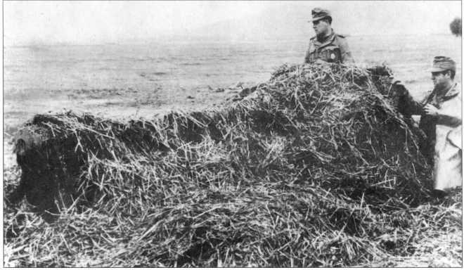 Wehrmacht. Сухопутные войска III Рейха - i_083.jpg