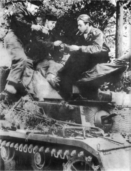 Wehrmacht. Сухопутные войска III Рейха - i_165.jpg