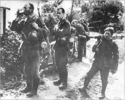 Wehrmacht. Сухопутные войска III Рейха - i_171.jpg