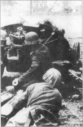 Wehrmacht. Сухопутные войска III Рейха - i_176.jpg