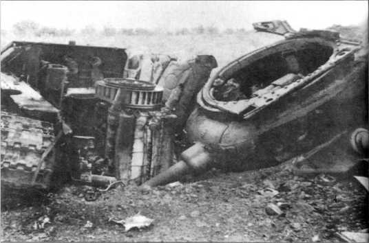 Wehrmacht. Сухопутные войска III Рейха - i_178.jpg