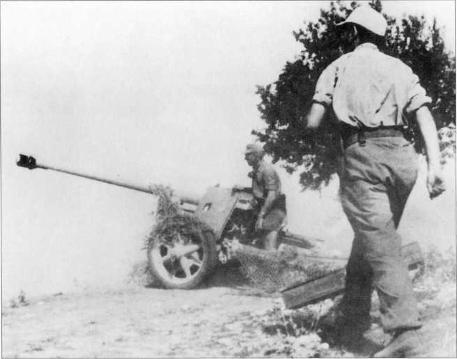 Wehrmacht. Сухопутные войска III Рейха - i_189.jpg