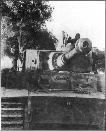 Wehrmacht. Сухопутные войска III Рейха - i_192.jpg