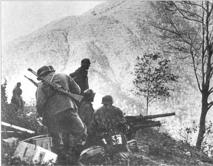 Wehrmacht. Сухопутные войска III Рейха - i_205.jpg