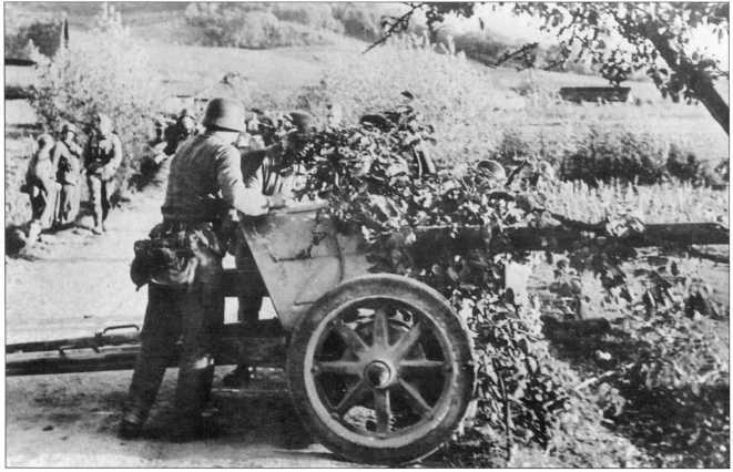 Wehrmacht. Сухопутные войска III Рейха - i_213.jpg