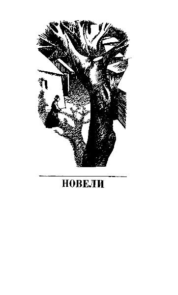 Зневірений дух - Noveli.jpg