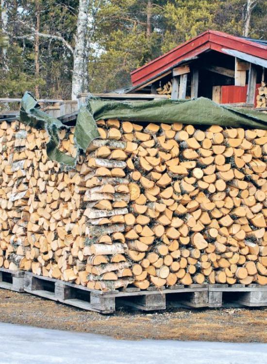 Норвежский лес: скандинавский путь к силе и свободе - i_007.jpg