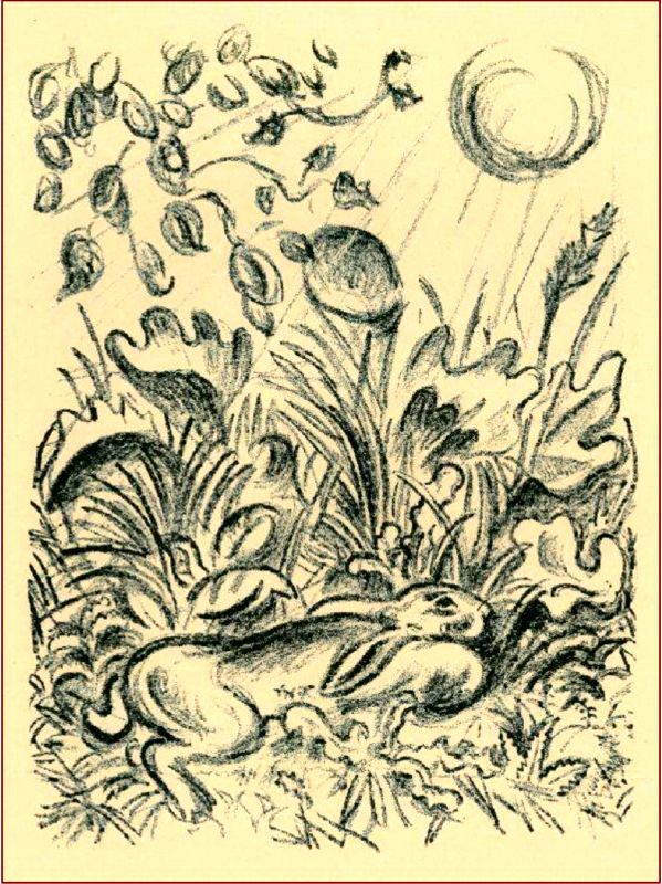 История зайца - i_004.jpg