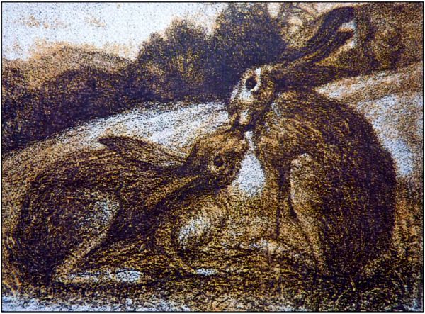 История зайца - i_005.jpg